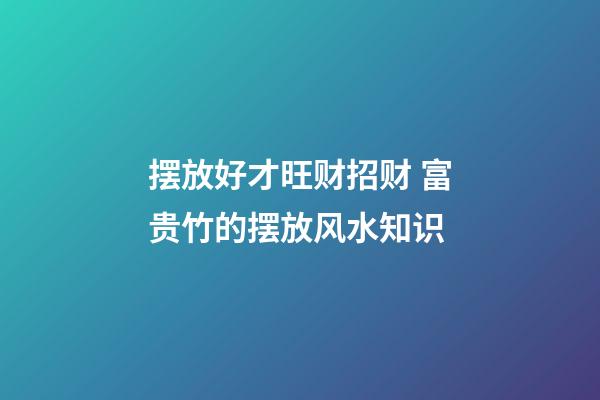 摆放好才旺财招财 富贵竹的摆放风水知识